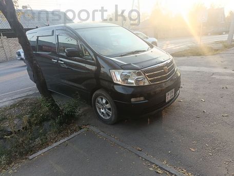 Toyota Alphard, 2003 — photo 3