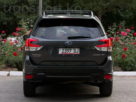 Subaru Outback, 2019 — фото 11