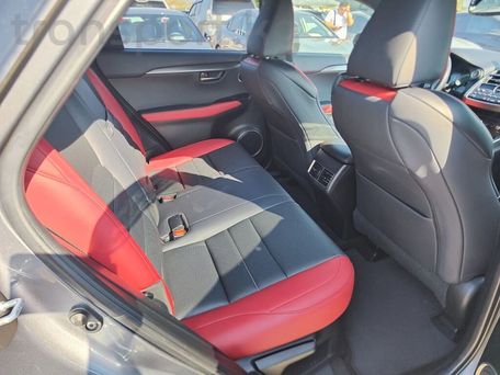 Lexus NX, 2020 — photo 6