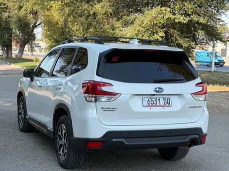 Subaru Forester, 2019 — 照片 4