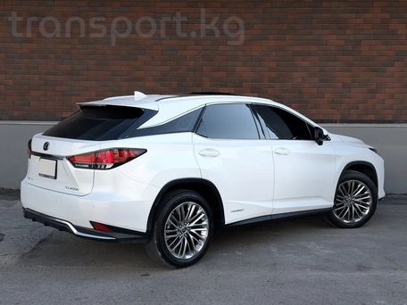 Lexus RX, 2022 — photo 5