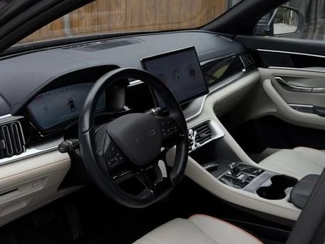 BYD Song Plus, 2024 — 照片 9