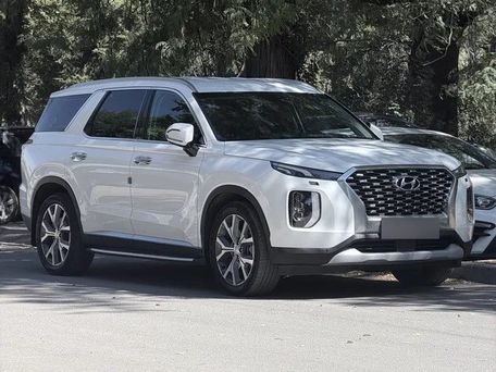 Hyundai Palisade, 2024 — фото 2