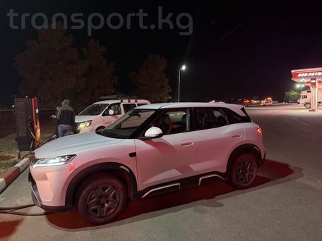BYD Yuan Plus, 2025 — photo 5