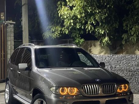 BMW X5, 2004 — 照片 1
