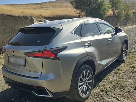 Lexus NX, 2019 — фото 3