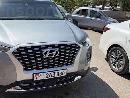 Hyundai Palisade, 2019 — фото 8
