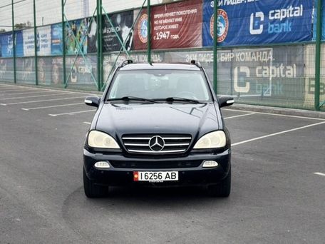 Mercedes-Benz M-Класс, 2003 — фото 3
