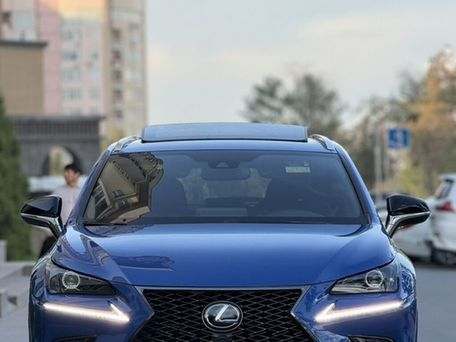 Lexus NX, 2020 — фото 4