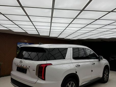 Hyundai Palisade, 2021 — сүрөт 17
