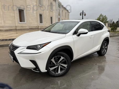 Lexus NX, 2019 — photo 6