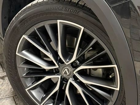 Lexus NX, 2022 — photo 5