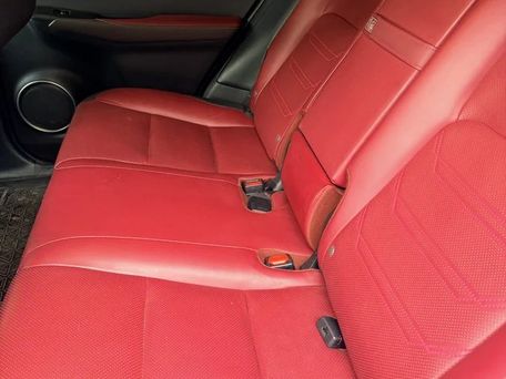 Lexus NX, 2019 — photo 4