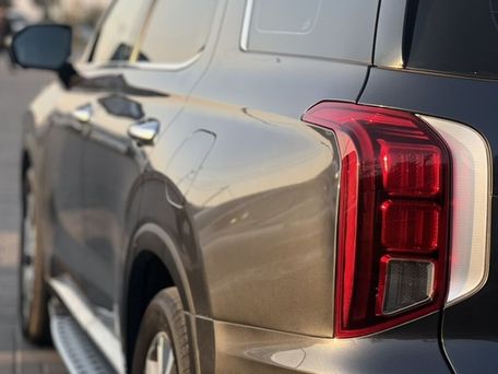 Hyundai Palisade, 2019 — photo 6