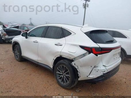 Lexus NX, 2022 — сүрөт 5