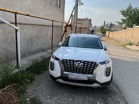 Hyundai Palisade, 2019 — фото 1