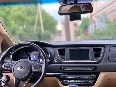Kia Carnival, 2019 — фото 6