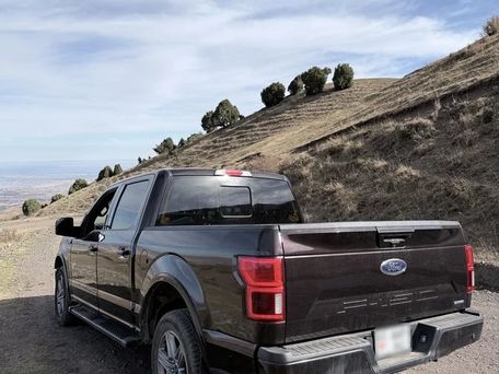 Ford F-150, 2019 — 照片 3