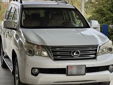 Lexus GX, 2010 — сүрөт 1