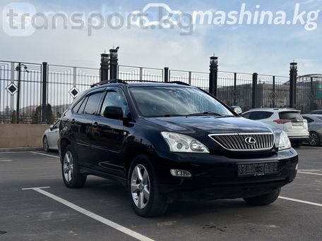 Lexus RX, 2004 — photo 2