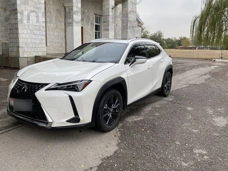 Lexus UX, 2018 — фото 2