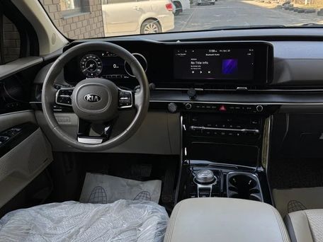 Kia Carnival, 2020 — фото 10