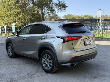 Lexus NX, 2018 — фото 6