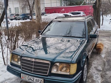 Mercedes-Benz E-Класс, 1996 — photo 9