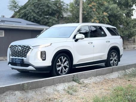Hyundai Palisade, 2020 — фото 4