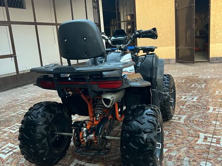 GG Quadster, 2024 — photo 3