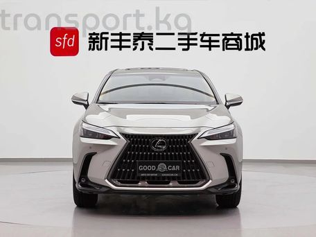 Lexus NX, 2022 — фото 2