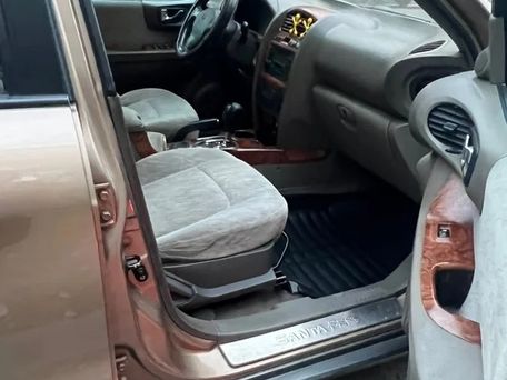 Hyundai Santa Fe, 2004 — photo 3