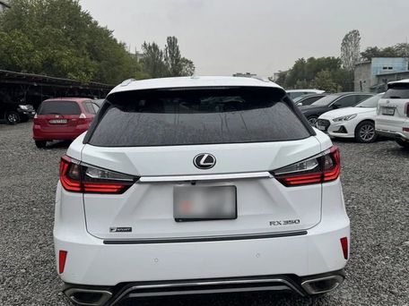 Lexus RX, 2019 — фото 6