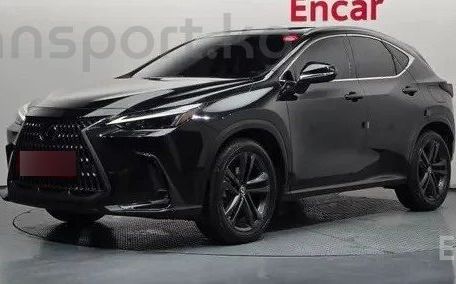 Lexus NX, 2021 — фото 1
