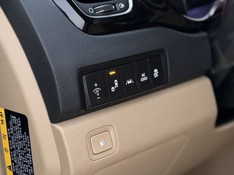 Kia Carnival, 2019 — фото 18
