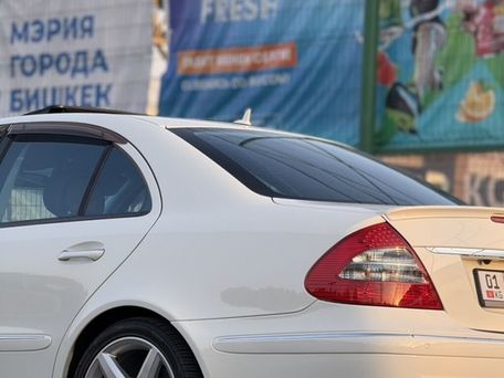 Mercedes-Benz E-Класс, 2008 — фото 16