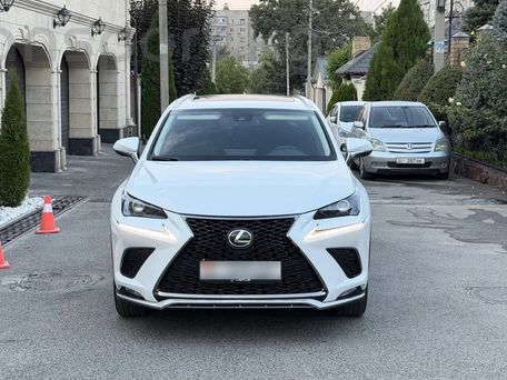 Lexus NX, 2020 — фото 2