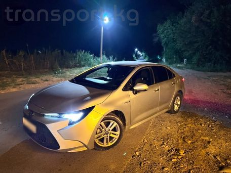 Toyota Levin, 2020 — сүрөт 5