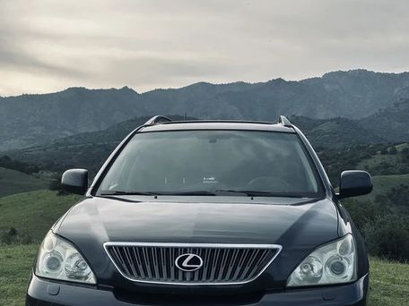 Lexus RX, 2006 — 照片 5