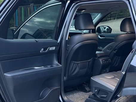 Hyundai Palisade, 2020 — 照片 13