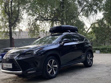 Lexus NX, 2018 — фото 8