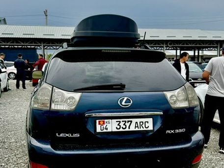 Lexus RX, 2004 — фото 3