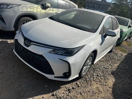 Toyota Corolla, 2023 — 照片 2