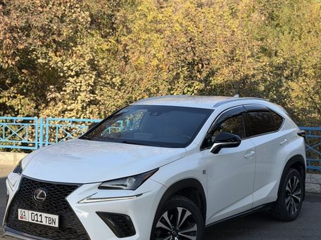 Lexus NX, 2019 — сүрөт 1