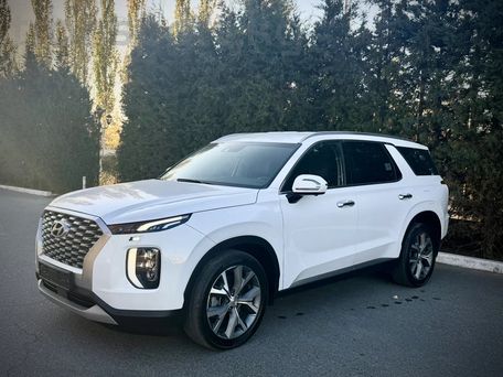 Hyundai Palisade, 2021 — photo 3