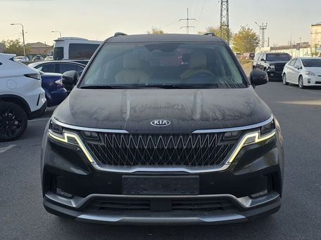 Kia Carnival, 2020 — photo 6