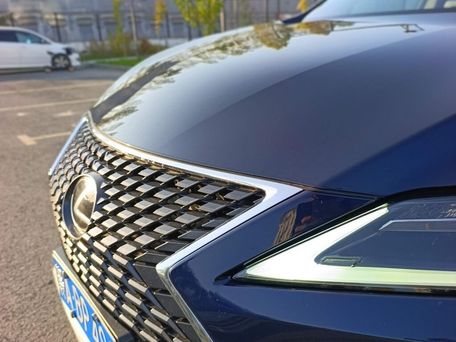 Lexus RX, 2019 — сүрөт 10