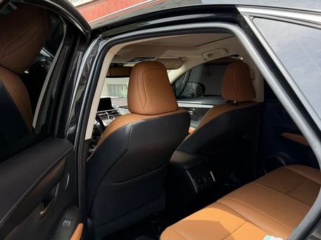 Lexus NX, 2019 — сүрөт 6