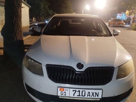 Skoda Octavia, 2016 — фото 2