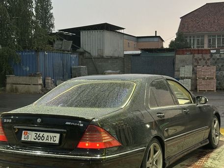 Mercedes-Benz S-Класс, 2002 — 照片 9